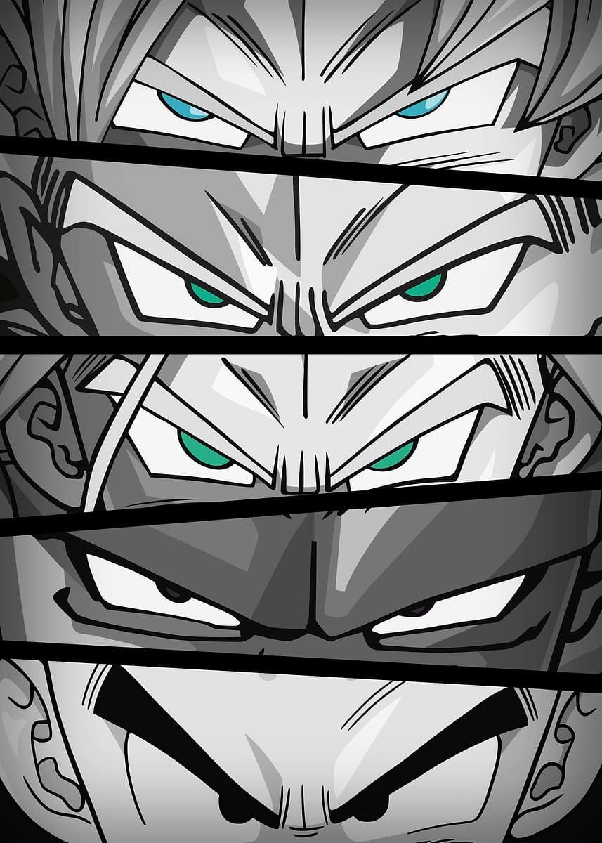 Ojos De Héroes De Dbz En Blanco Y Negro