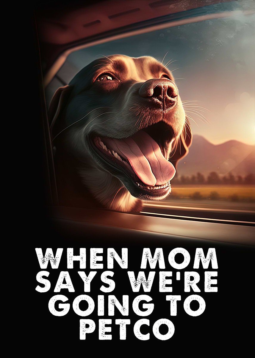 Cuando Mamá Dice Que Vamos A Petco