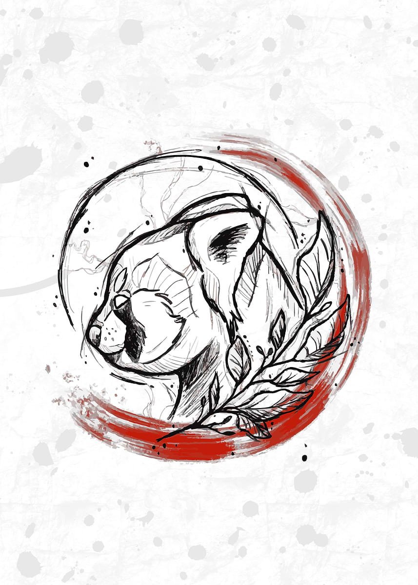 Panda Rojo Círculo Rojo